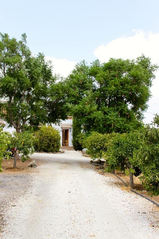 Casita Naranja Villa Alora Room photo